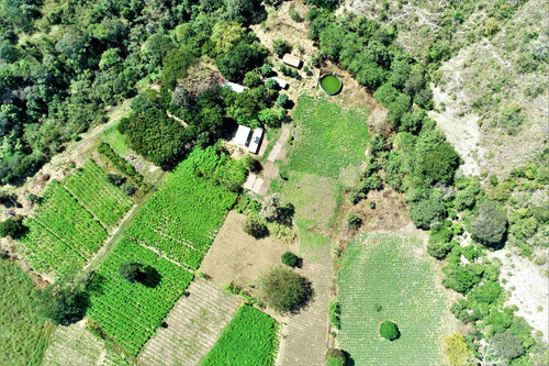 Imagen 28 de 30 de Finca Agrícola Santa Fe De Antioquia, Vereda El Tunal - Se Vende