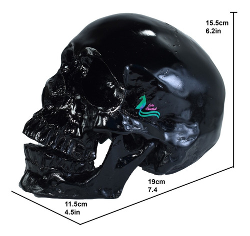 Cráneo Negro Humano De Resina, Mandíbula Articulada 