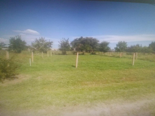 Imagen 1 de 3 de Terreno - Loma Verde