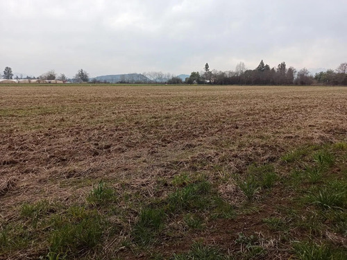 Terreno Agrícola En Venta, Campo De 21 Ha, San Clemente