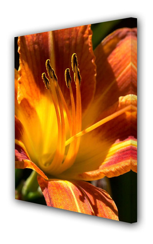 Cuadro 60x90cm Petalo Naranja Flor Silvestre P5