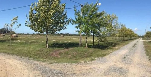Lote En Venta En La Cañada I, City Bell