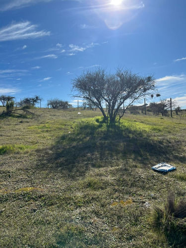 Parcela, San Miguel De Viluco, Marchigüé 6ta Región