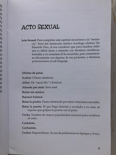 Groserías Y Palabrotas Chilenas / Profe. Jaime Campusano (Usado)