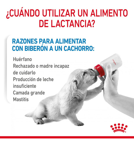 Leche Royal Canin Babydog Para Cachorro 0-2 Meses 400g