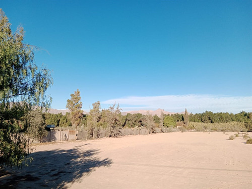 Sitio En Arriendo En Copiapó