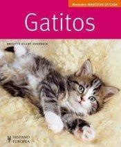 Gatitos - Manual Mascota Casa
