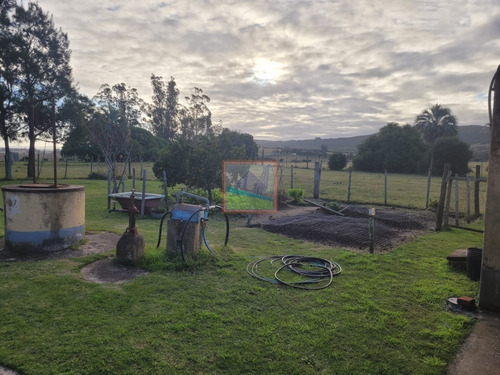 Imagen 4 de 26 de Campo De 34 Hás Con Casa Ruta 12 Pueblo Edén