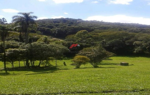 Imagem 14 de 14 de Sítio Na Estrada Do Vinho Com Infraestrutura P Hipismo :1197