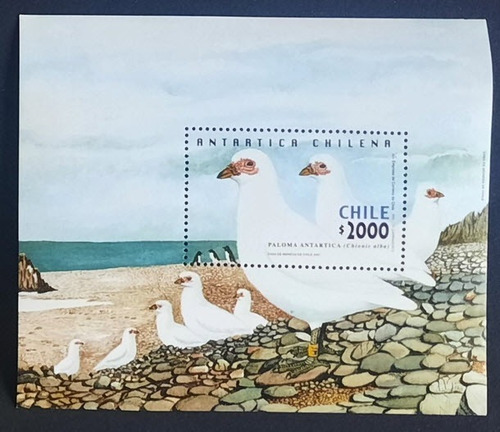 Block Antártica Chilena 2001