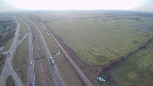 Excepcional Parcela De Campo De 16 Has. Ubicada Sobre Autopista Rosario - Córdoba ( A La Altura De Roldán) - Pcia De Santa Fe