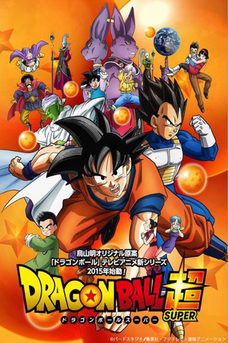 Dragon Ball Super - Sagas Completas (pendrive)