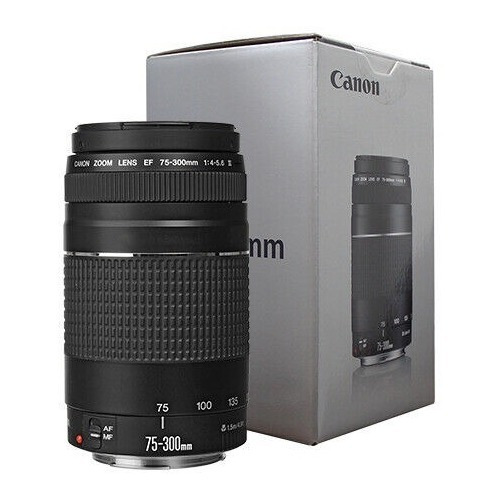 Canon Ef 75-300mm F/4-5.6 Iii Telephoto Zoom Lens For Canon 