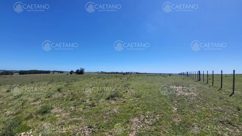 Venta Chacra Jose Ignacio Con Costa Arroyo Anastasio