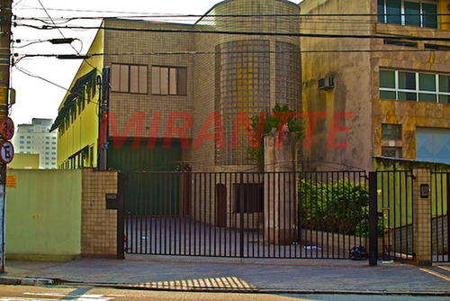 Imagem 1 de 5 de Comercial Em Santa Terezinha - São Paulo, Sp - 286647