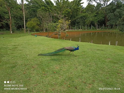 Imagem 18 de 25 de Sitio Em Bragança Paulista - Topografia Totalmente Plano Com Lago E Acesso Em Asfalto