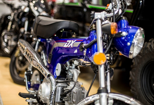 Imagen 11 de 15 de Corven Dx 70 Lidermoto Tigre