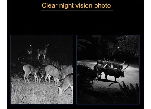 Camara Mini Caceria, Vision Nocturna, Hd 1080, 12mp