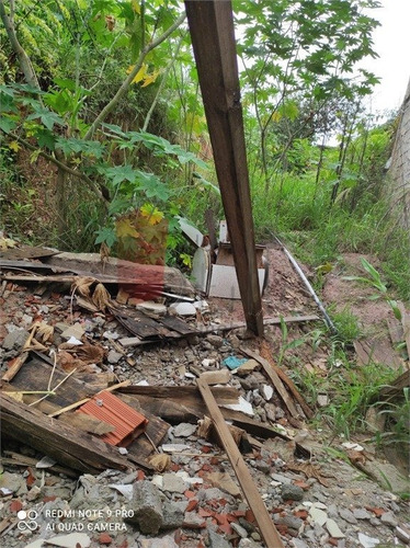 Imagem 7 de 15 de Terreno - Chora Menino - Ref: 13912 - V-13912