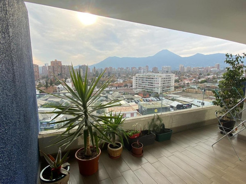 Fray Angélico, Vista 100% Despejada