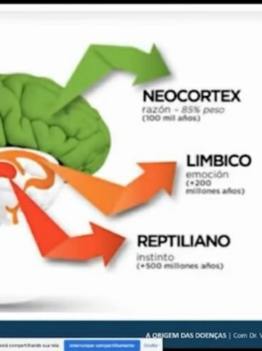 Imagem 4 de 5 de Psicoterapia Integral, Constelação Sistêmica, Neurocoaching