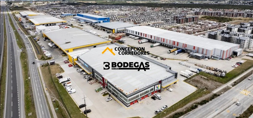 Arriendo Bodega De 1.200m2 Sector Camino A Pargua, Pto Montt