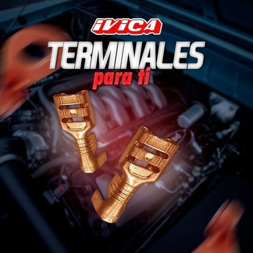 Terminal Hembra Th140 Medida Estandar Pack-10 