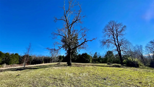Parcela En Venta En Pedregoso, Villarrica.