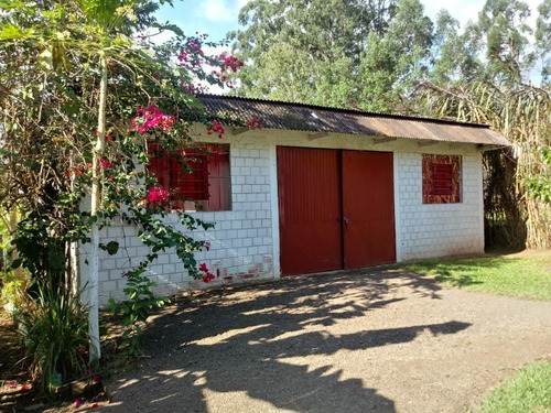 Chácara 2.500 M² - Morungava - Gravataí - Rs - 1657 - 32420178