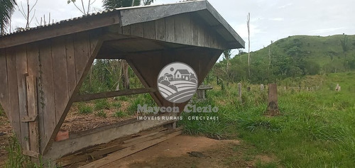 Imagem 3 de 9 de Venda Sítio Monte Negro Em Rondônia - Sig218