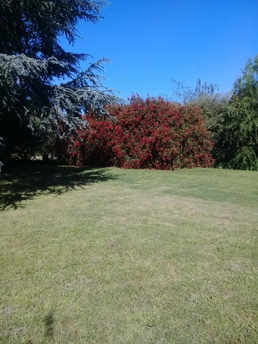 Imagen 12 de 22 de Tandil. Alquiler Vacacional