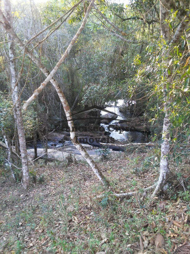 Imagem 3 de 7 de Sítio Sítio À Venda Em Cunha/sp - St096