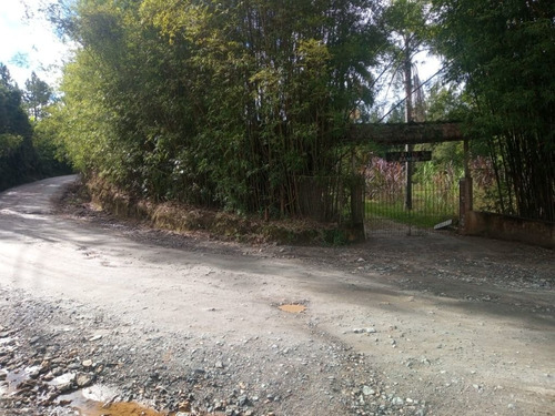 Imagem 2 de 26 de Chácara Com 2 Dormitórios À Venda, 12000 M² Por R$ 495.000,00 - Quatinga - Mogi Das Cruzes/sp - Ch0030