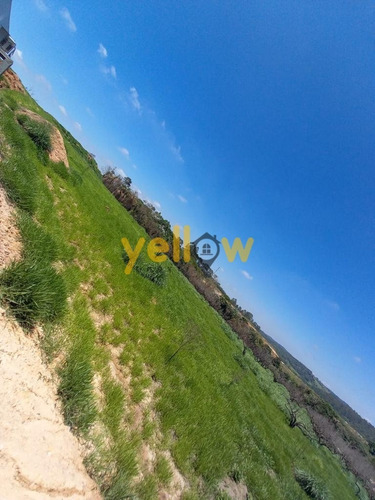 Imagem 6 de 6 de Terreno - Taboão - Te-4705