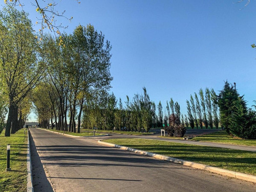 Imagen 8 de 23 de Oportunidad!! Lote - La Alameda Etapa 3 Financiado