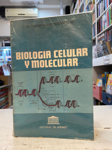 Biología Celular Y Molecular. De Robertis Usado 