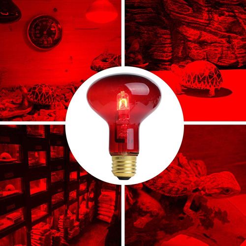 Bombillas Térmicas Infrarrojas Con Luz Roja Para Reptiles, 1