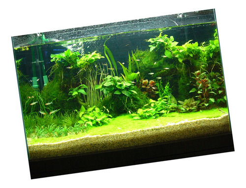 Pôster Adesivo Para Aquário 122x46cm Tipo C - 122x46cm