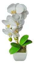 Comprar Orquídea Flores Artificial 37cm Deco Jardín Plantas Vara Zn