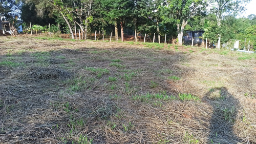 4 Terrenos De 250m2 45 Mil Cada Um A 70 Metros Da Br 381
