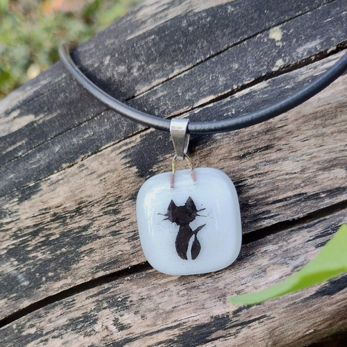 Imagen 4 de 8 de Collar Chico Gato