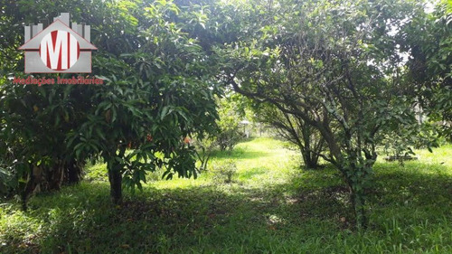 Imagem 23 de 24 de Ótima Chácara Com 02 Casas, Terreno Plano, Pomar, Próxima Ao Asfalto, À Venda, 900 M² Por R$ 230.000 - Zona Rural - Pinhalzinho/sp - Ch0843