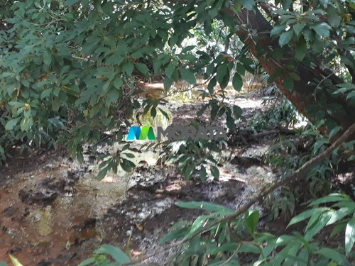 Imagem 3 de 4 de Terreno / Area - Zona Rural - Ref: 5143 - V-mta5143
