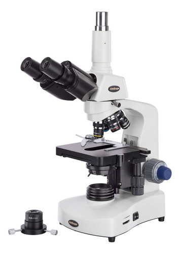 Amscope Microscopio Compuesto Trinocular Siedentopf T340a-d.