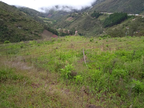 Imagen 2 de 8 de Finca En Mesa De Aura De 08 Hectáreas