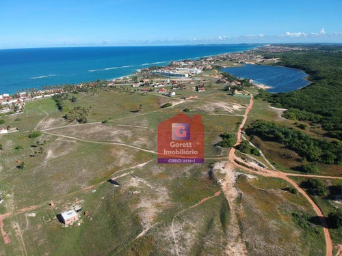 Imagem 15 de 21 de Terreno À Venda, 12890 M² Por R$ 1.200.000 - Praia De Tabatinga - Nísia Floresta/rn V0530 - Te0021