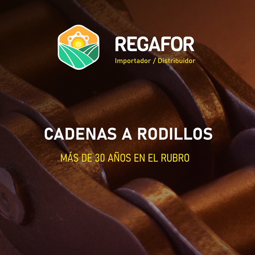 Cadena A Rodillo Mcc Asa 50h-1 Paso 5/8 Reforzada X 3.05m X