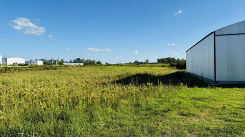 Galpón Con Casa Y 1 Hectárea