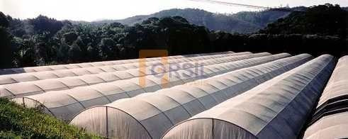 Imagem 7 de 10 de Sítio, Taiaçupeba, Mogi Das Cruzes - R$ 1.75 Mi, Cod: 2105 - V2105