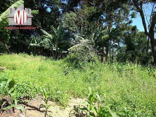 Chácara Com Excelente Terreno, Pomar, Riacho, Pertinho Da Cidade Com 02 Dormitórios À Venda, 12000 M² Por R$ 240.000 - Pedra Bela - Pedra Bela/sp - Ch0666